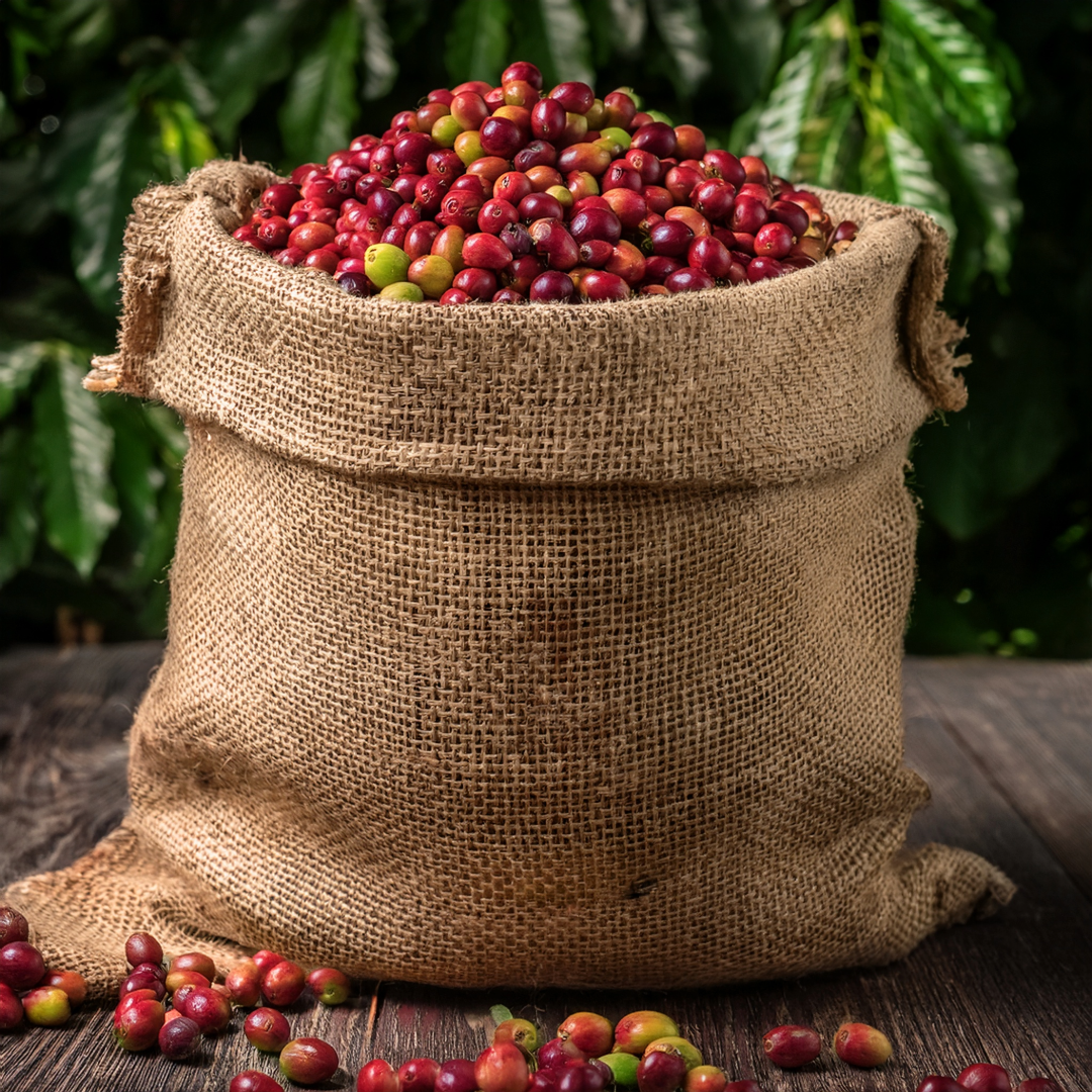 Ethiopia Dry Process Yirga Cheffe Konga