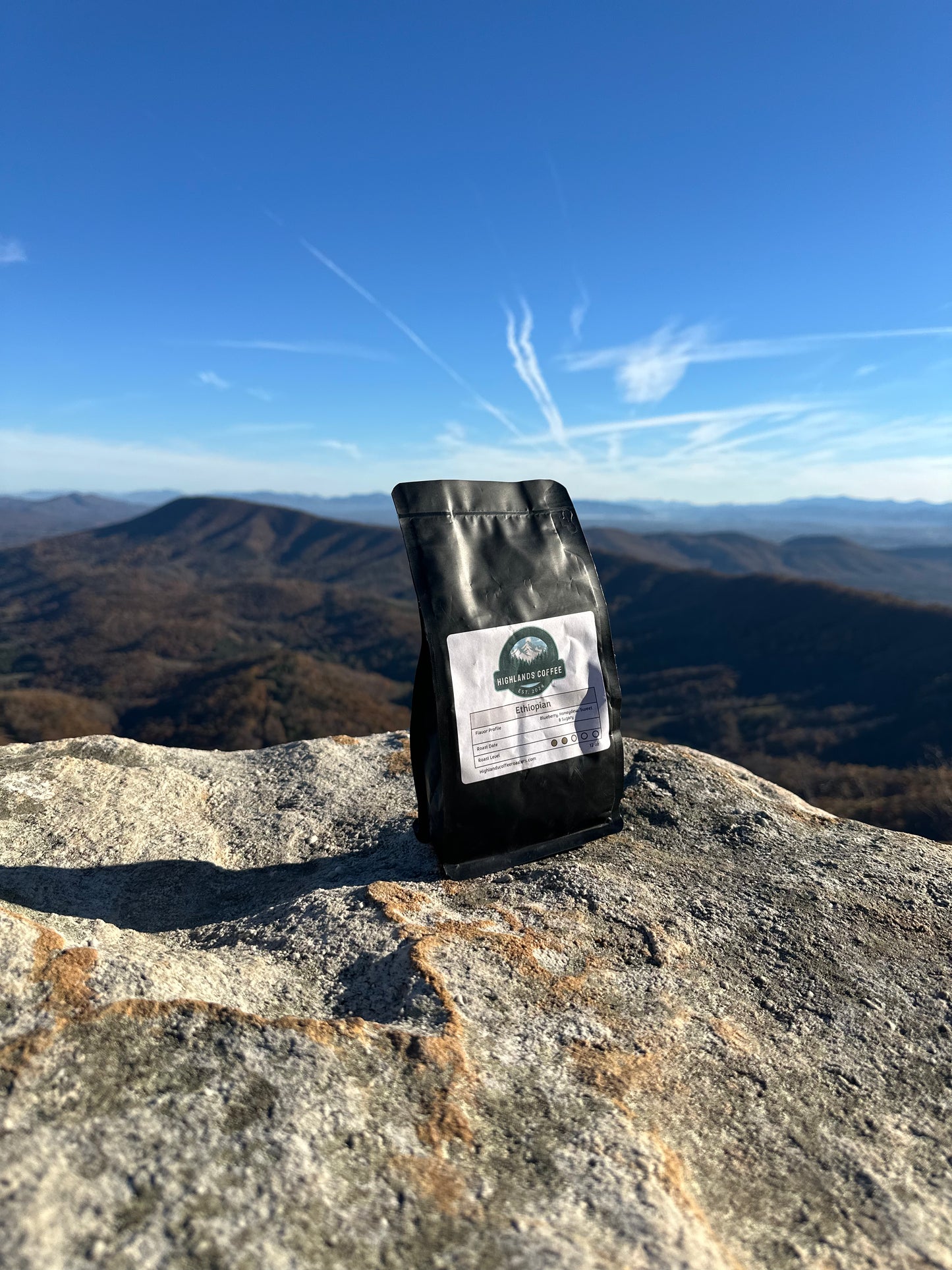 Ethiopian Organic Sidama Worku Buche