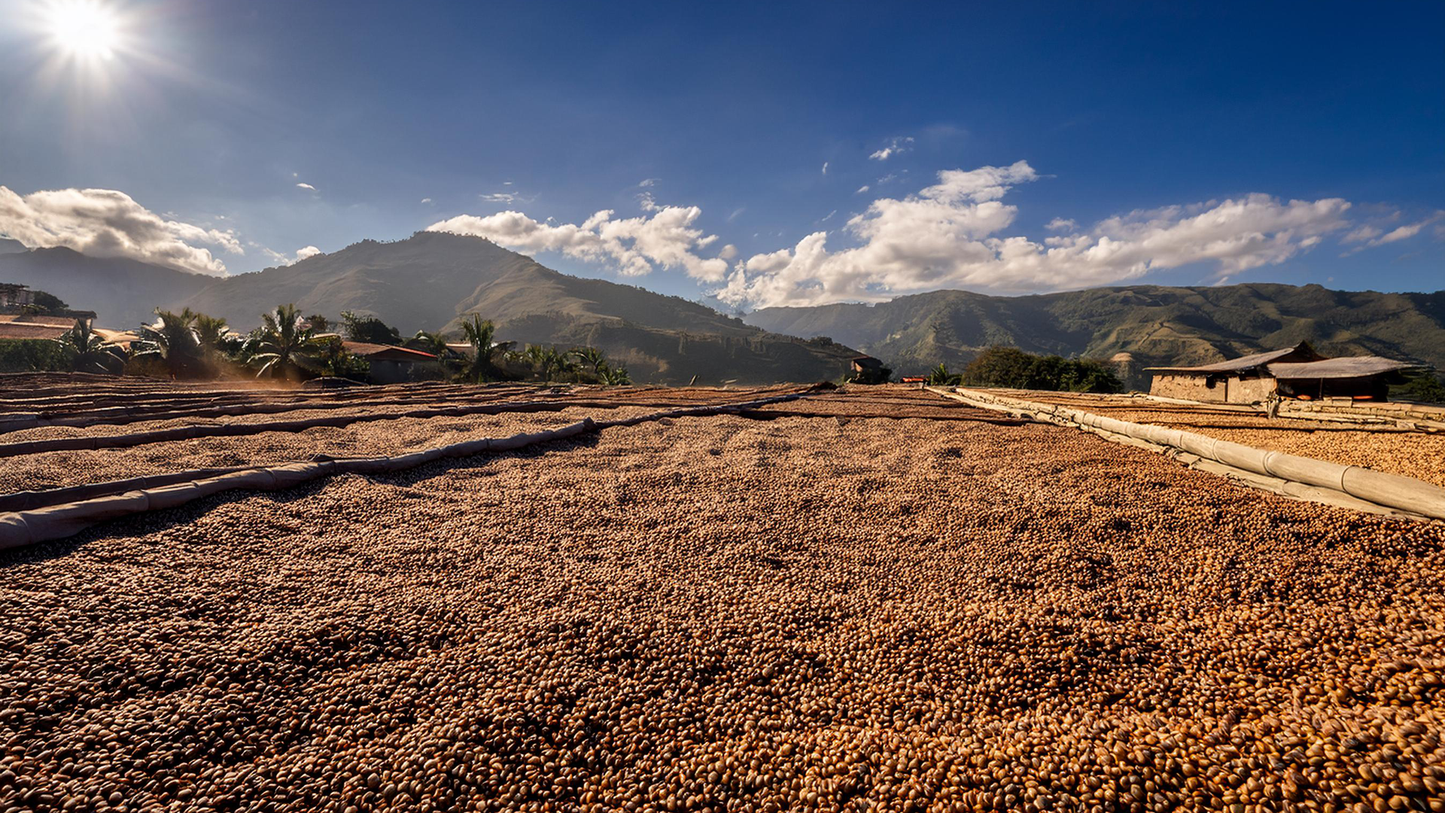 Peru Dry Process San Antonio