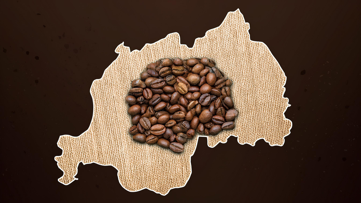 Rwanda Dry Process Mashesha