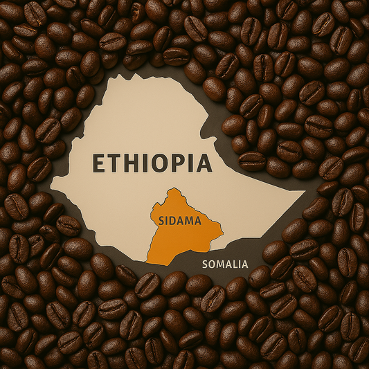 Ethiopian Organic Sidama Worku Buche
